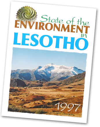 View pages